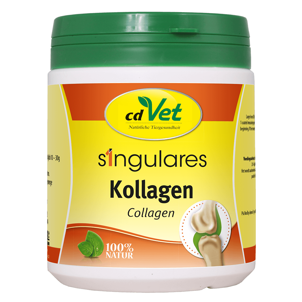 CdVet Singulares Kollagen 2 kg – Natürliches Pulver für Gelenke und Haut - 2kg