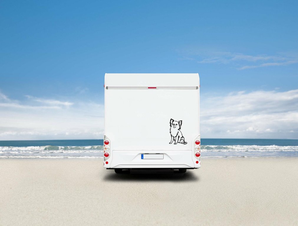 Chihuahua Langhaar Auto Wohnmobil Aufkleber I Wandtattoo - H50cm / Schwarz