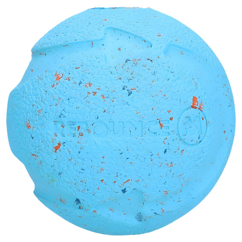 Chuckit! Hundespielzeug Rebounce Fetch Ball, Größe: M