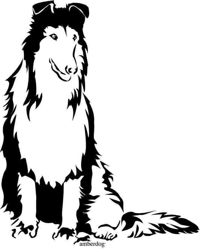 Collie Grafiklizenz Collie Grafiklizenz