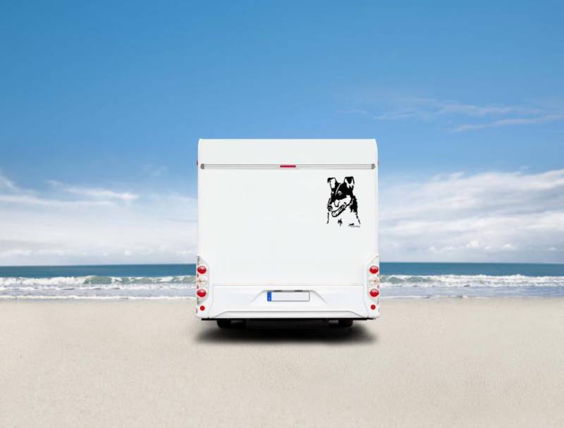 Collie Kurzhaar Kopf Auto Wohnmobil Aufkleber  I Wandtattoo - H50cm / Schwarz