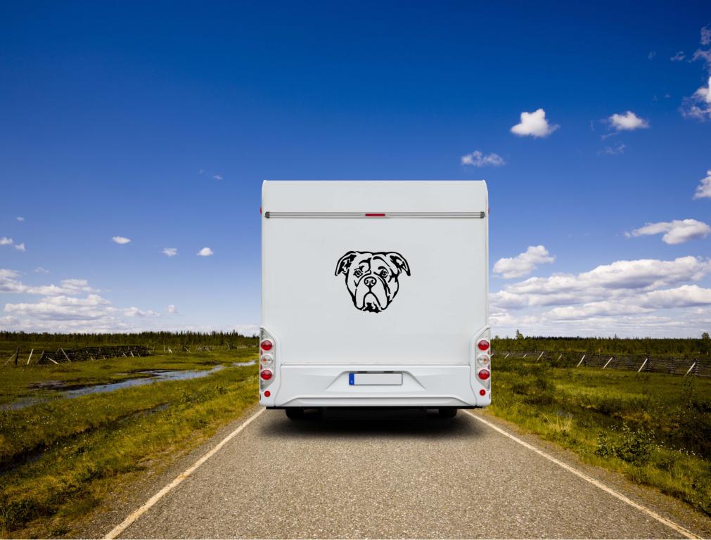 Continental Bulldogge Kopf Auto Wohnmobil Aufkleber l Wandtattoo - H50cm / Schwarz