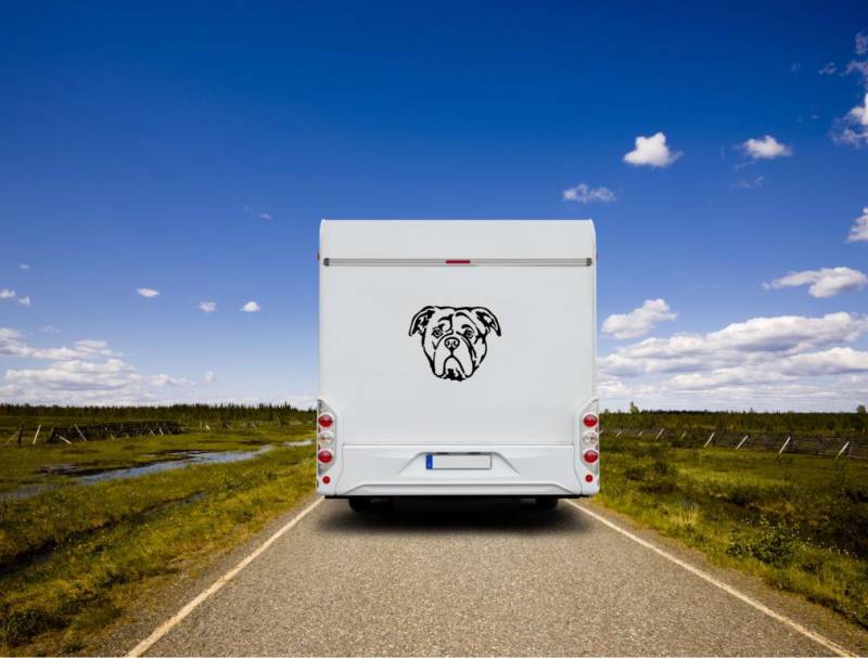 Continental Bulldogge Kopf Auto Wohnmobil Aufkleber l Wandtattoo - H50cm / Schwarz