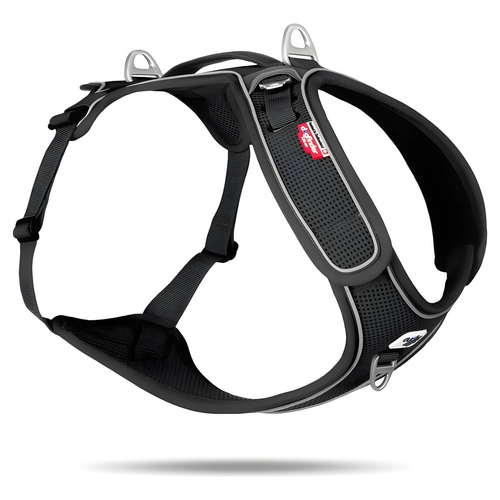 Curli Belka Geschirr Adjustable Neck Black