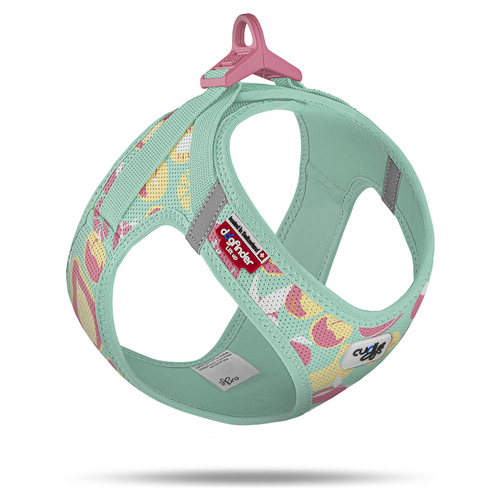 Curli Vest Harness Air-Mesh Geschirr LE26 Fruits türkis, Größe: XS