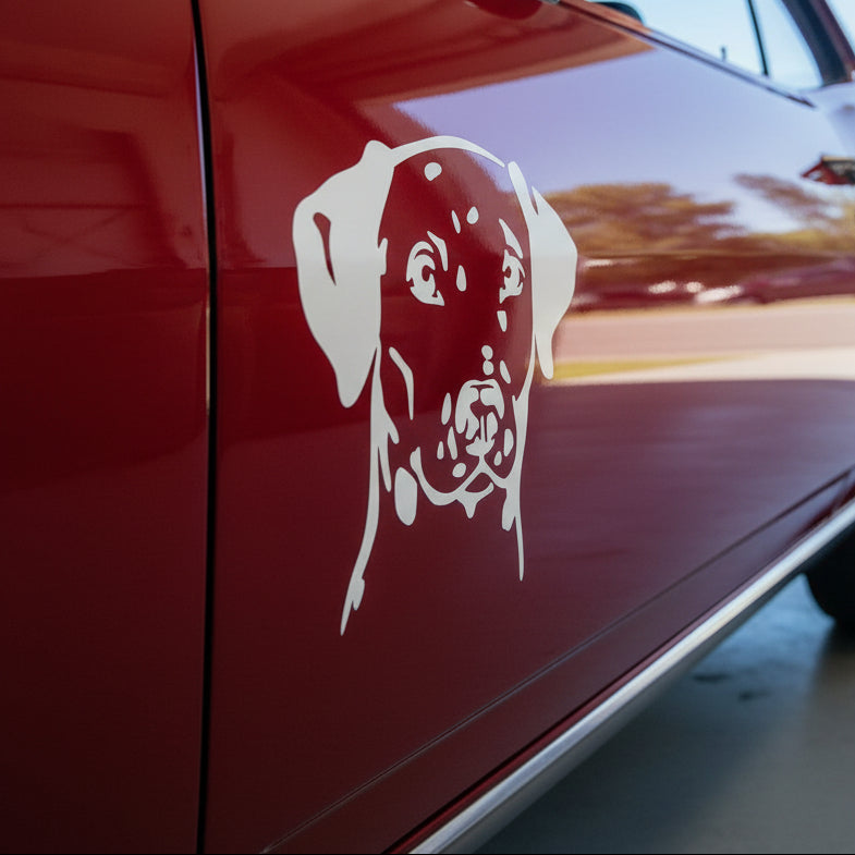 Dalmatiner Kopf Auto Wohnmobil Aufkleber I Wandtattoo - H20cm / Weiß