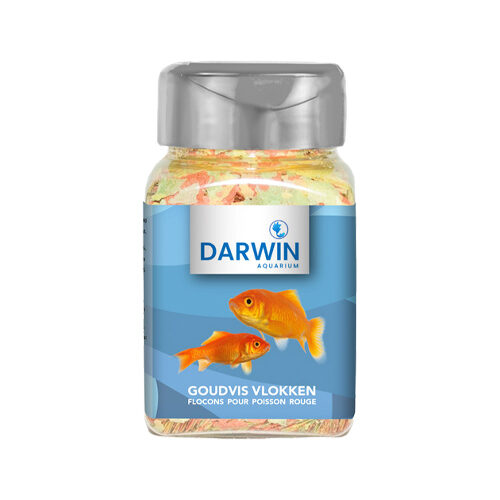 Darwin Goldfischflocken - 330 ml Darwin Goldfischflocken - 330 ml von Darwin