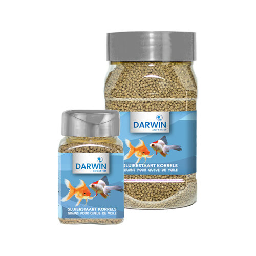 Darwin Schleierschwanz-Granulat - 100 ml von Darwin