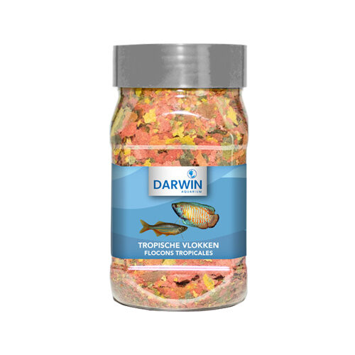 Darwin Tropische Flocken - 100 ml von Darwin