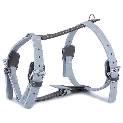 Das Lederband Geschirr Amsterdam Ice/Lava, Halsumfang: 30-50 cm