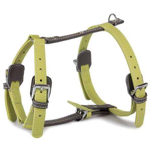 Das Lederband Geschirr Amsterdam Lime/Lava, Halsumfang: 30-50 cm
