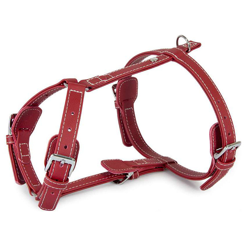 Das Lederband Geschirr Barcelona Indian-Red, Halsumfang: 35-55 cm