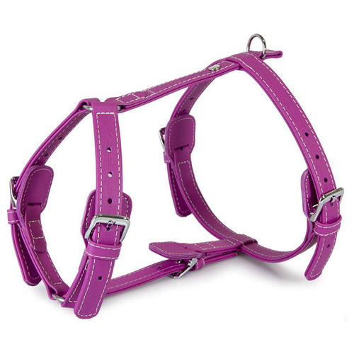 Das Lederband Geschirr Barcelona Rose-Violet, Halsumfang: 35-55 cm