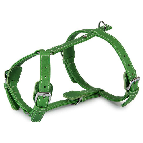 Das Lederband Geschirr Barcelona Summer-Green, Halsumfang: 35-55 cm