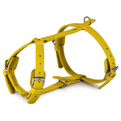 Das Lederband Geschirr Barcelona Vibrant-Yellow, Halsumfang: 25-45 cm