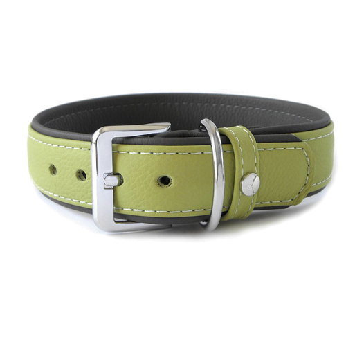 Das Lederband Hundehalsband Amsterdam lime/lava, Länge: 65 cm / Breite: 40 mm