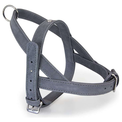 Das Lederband Norwegergeschirr Boston Granite, Brustumfang: 37-43 cm