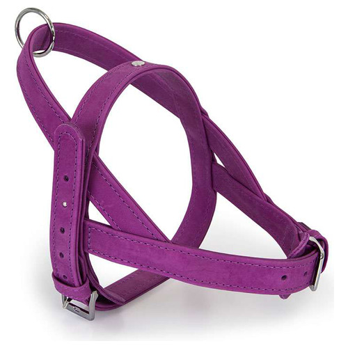 Das Lederband Norwegergeschirr Boston Violet, Brustumfang: 34-40 cm