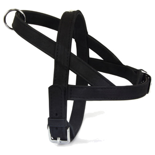 Das Lederband Norwegergeschirr Boston schwarz/schwarz