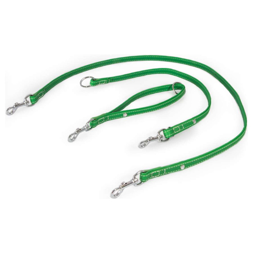 Das Lederband Universal Hundeleine Barcelona Summer-Green, Maße: 235 cm / 18 mm