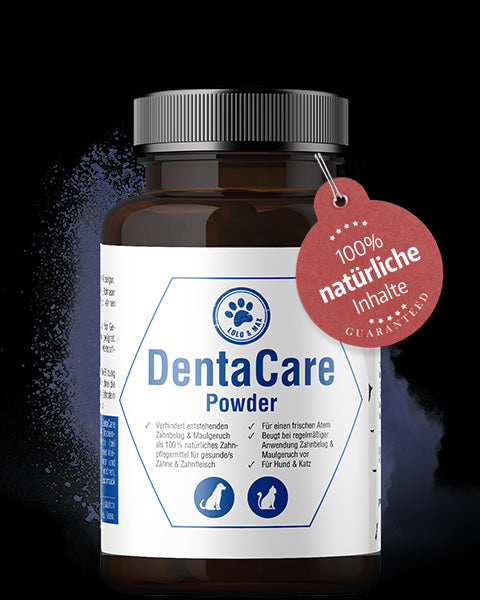 DentaCare Powder - 150g