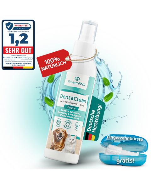 DentaClean - Zahnreinigung für Tiere - 80ml - Spray Classic