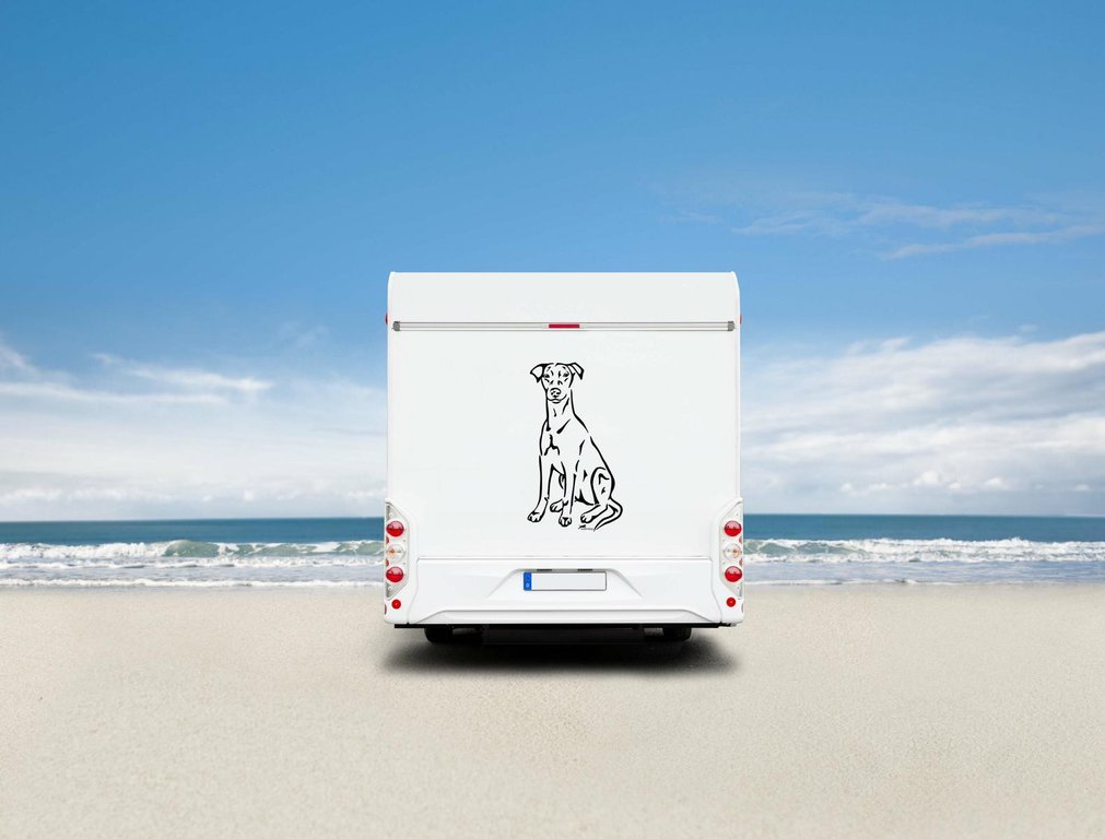 Deutscher Pinscher Wohnmobil Aufkleber  l Wandtattoo - H20cm / Weiß