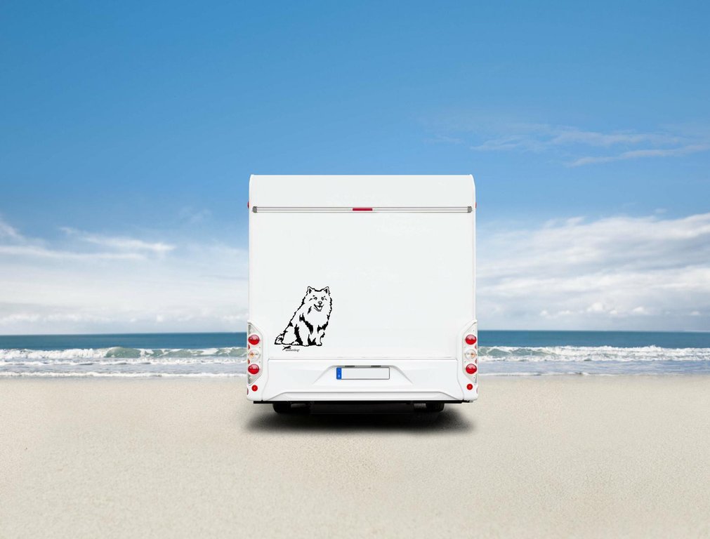 Deutscher Spitz Wohnmobil Aufkleber I Wandtattoo - H50cm / Schwarz