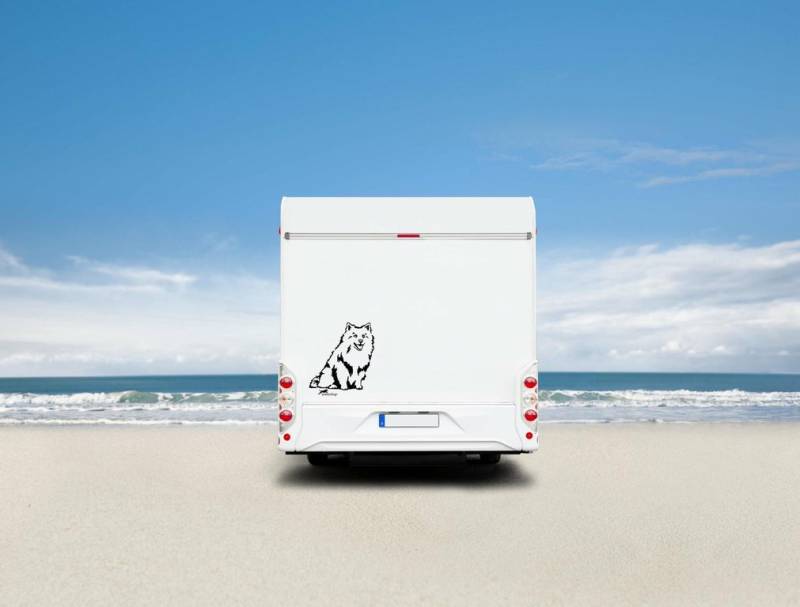Deutscher Spitz Wohnmobil Aufkleber I Wandtattoo - H50cm / Schwarz
