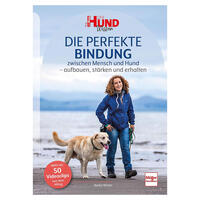 Die perfekte Bindung zwischen Mensch und Hund