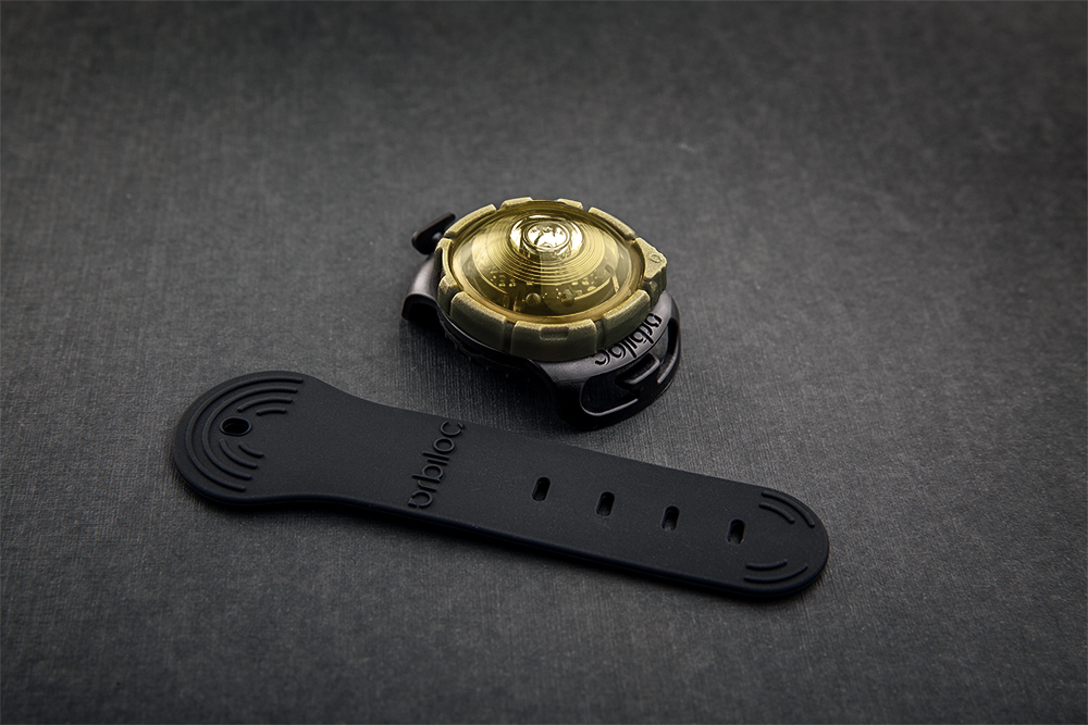 Dog Dual Safety Gold