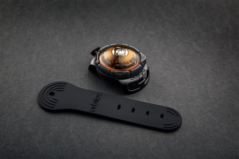 Dog Dual Safety Light Amber