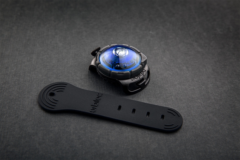 Dog Dual Safety Light Blue