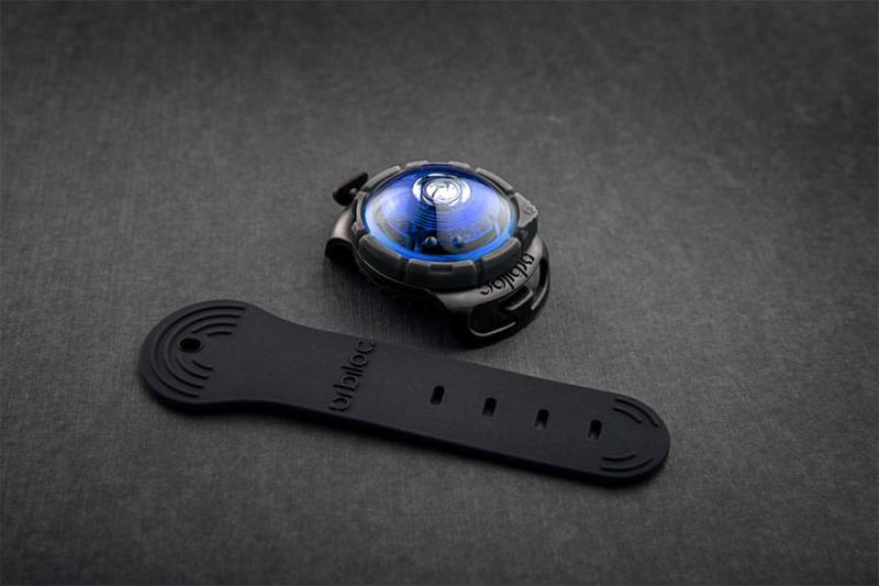 Dog Dual Safety Light Blue Dog Dual Safety Light Blue