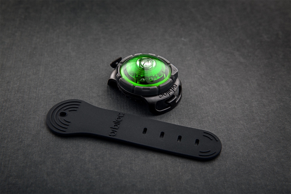 Dog Dual Safety Light Green