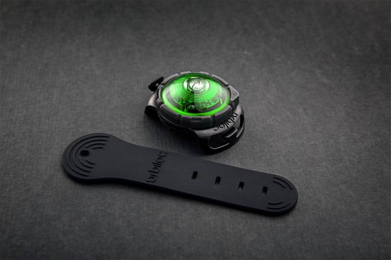 Dog Dual Safety Light Green Dog Dual Safety Light Green