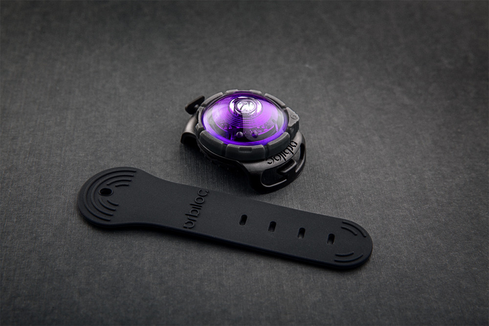 Dog Dual Safety Light Purple