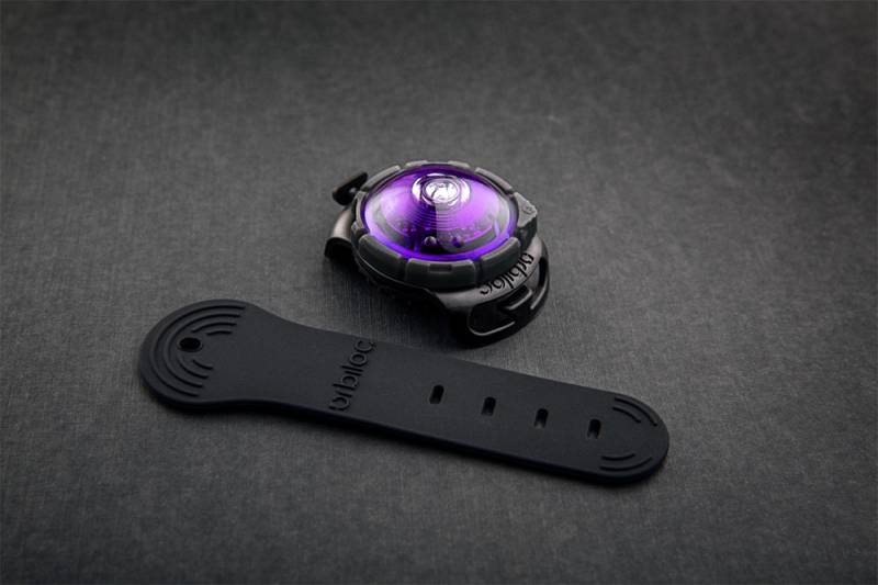 Dog Dual Safety Light Purple Dog Dual Safety Light Purple