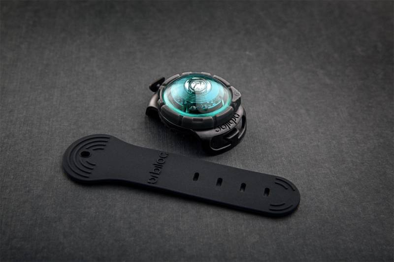Dog Dual Safety Light Turquoise Dog Dual Safety Light Turquoise