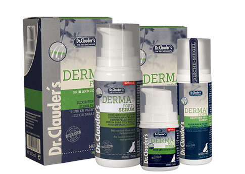 Dr Clauder Ergänzungsfuttermittel für Hund Hair & Skin - Derma Plus Forte - 100ml