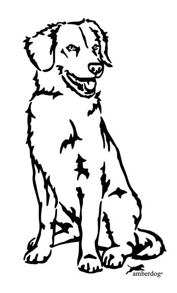 Duck Tolling Retriever Grafiklizenz Duck Tolling Retriever Grafiklizenz
