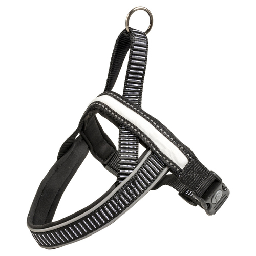 Duvo+ Geschirr City Paris LED Nylon schwarz, Größe: L