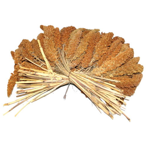 Duvo+ Kolbenhirse rot 25 kg