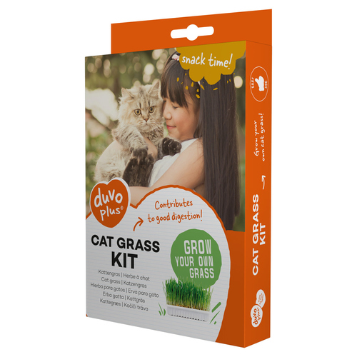 Duvo+ Set zum Anbau von Katzengras