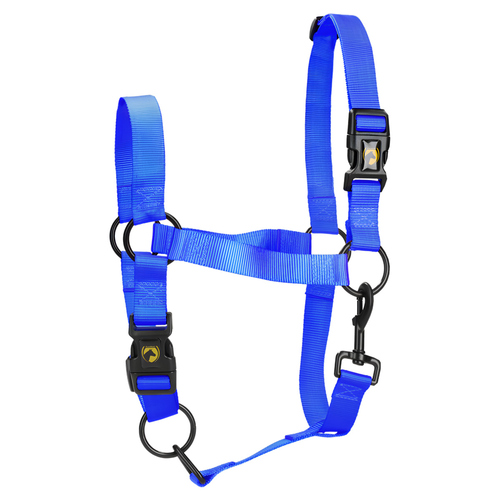 Excellent Horse Essential Halfter blau, Größe: XS Excellent Horse Essential Halfter blau, Größe: XS