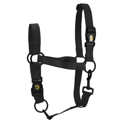 Excellent Horse Essential Halfter schwarz, Größe: XS Excellent Horse Essential Halfter schwarz, Größe: XS