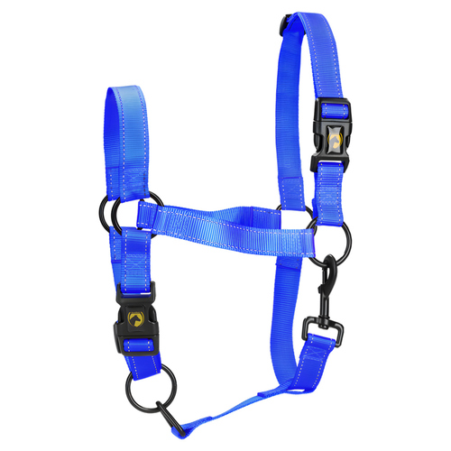 Excellent Horse Premium Halfter blau, Größe: XS Excellent Horse Premium Halfter blau, Größe: XS