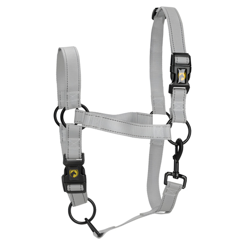 Excellent Horse Premium Halfter grau, Größe: M Excellent Horse Premium Halfter grau, Größe: M