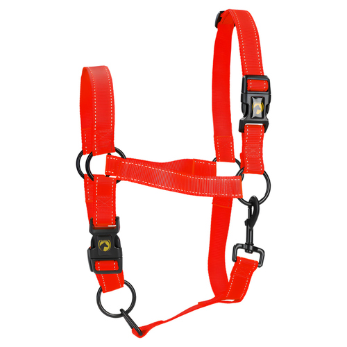 Excellent Horse Premium Halfter rot, Größe: XS
