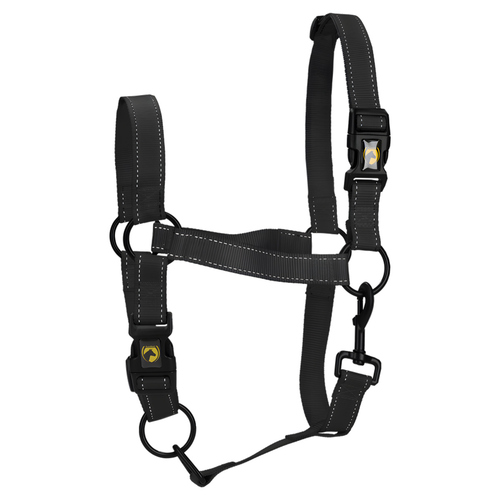 Excellent Horse Premium Halfter schwarz, Größe: L